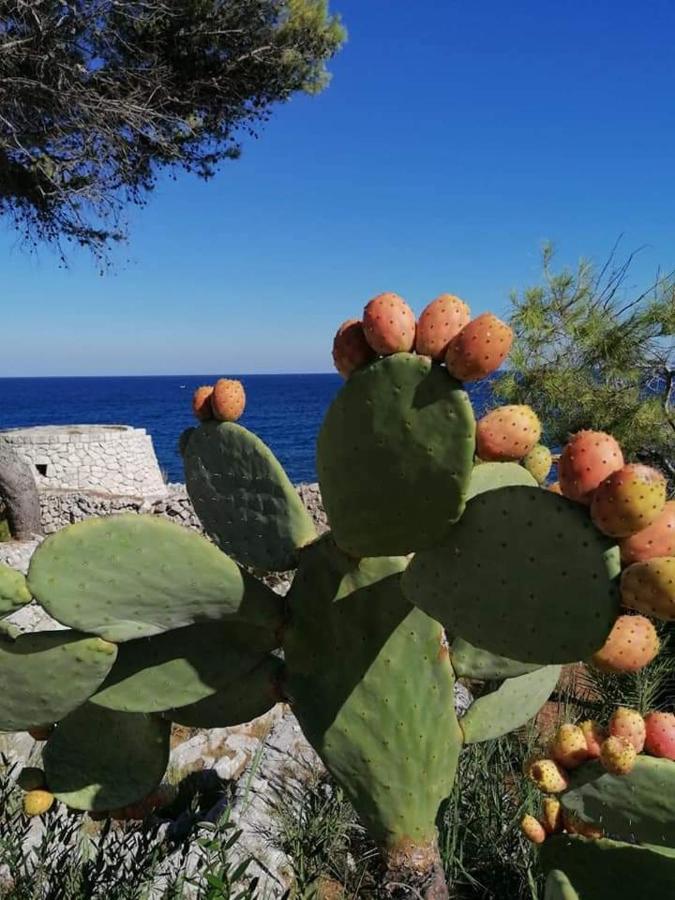 Marina Villa Marittima Buitenkant foto